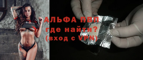 спиды Бородино