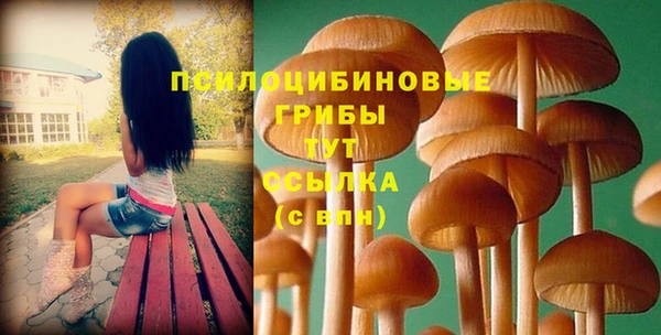 спиды Бородино