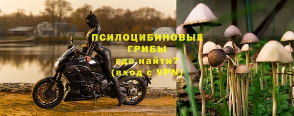 спиды Бородино