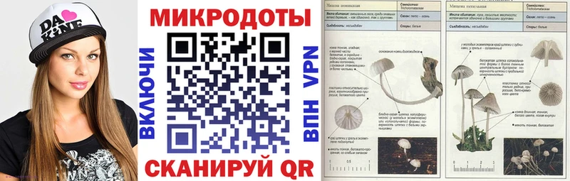 Купить где  Касимов  Галлюциногенные грибы Cubensis 